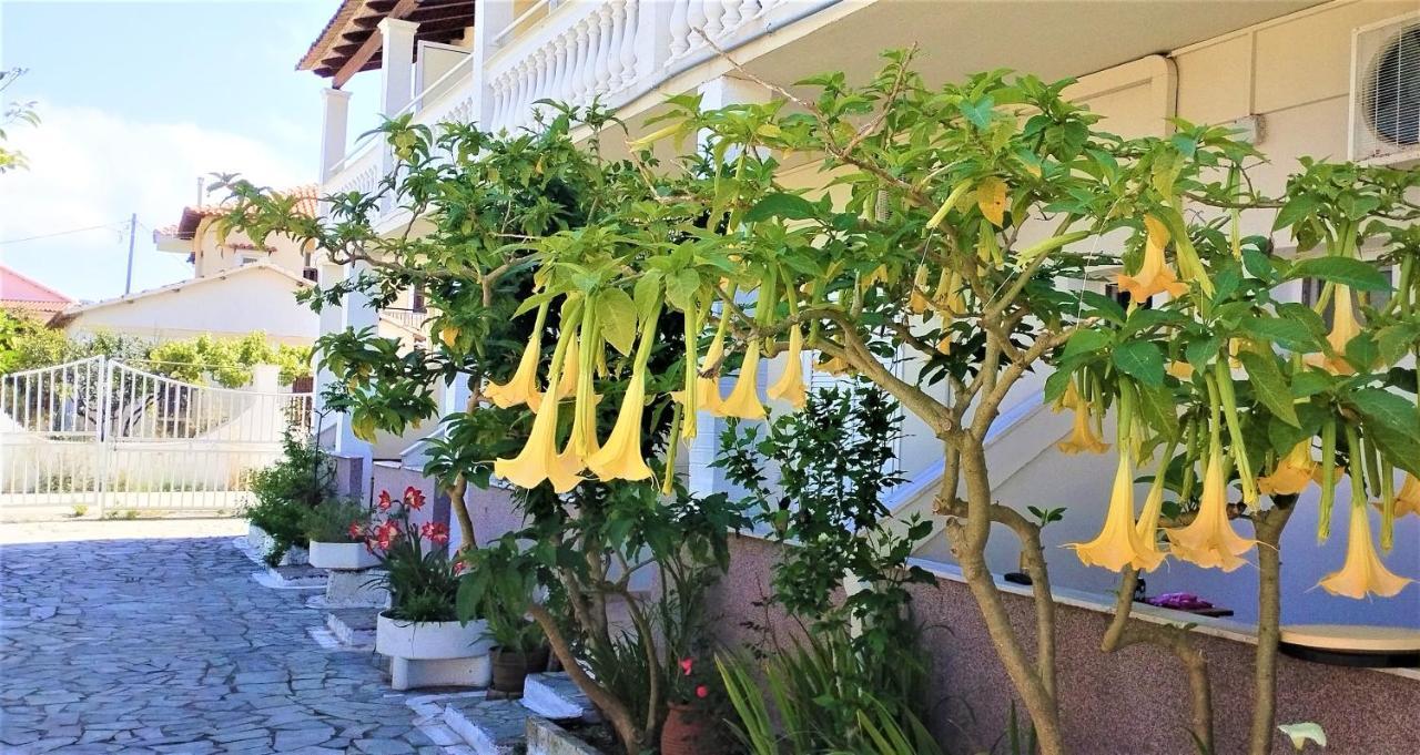 Eleni Apartments Sant George Beach Агиос-Георгиос Экстерьер фото